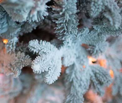 Искусственные заснеженные ёлки в Иваново